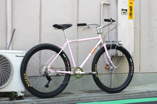 Bassi Bikes "Hog's Back"