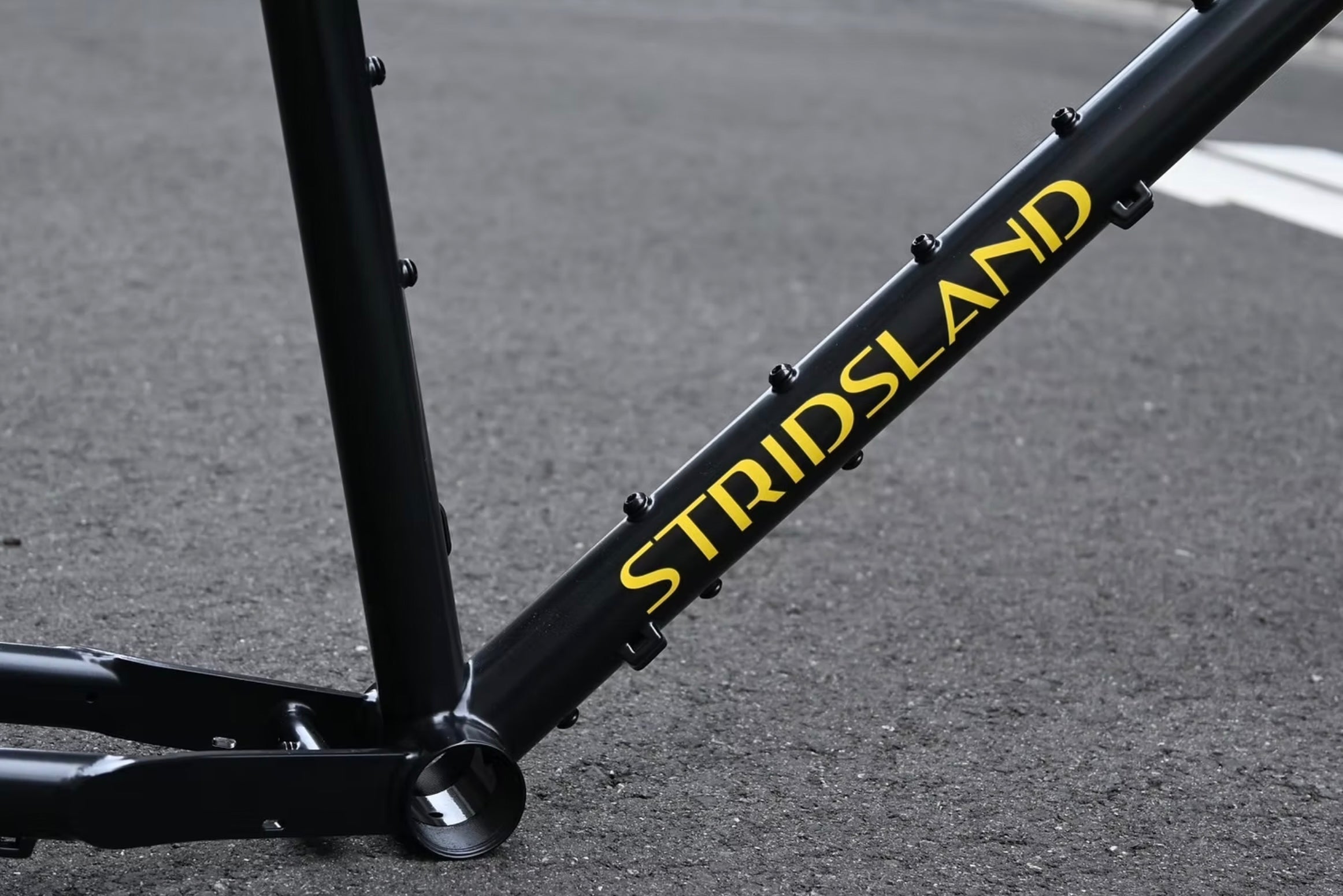 STRIDSLAND 