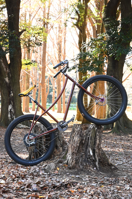 FARETS BICYCLES "The Chunk"