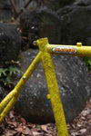 Magic Components "The WiZARD" Pre-Order